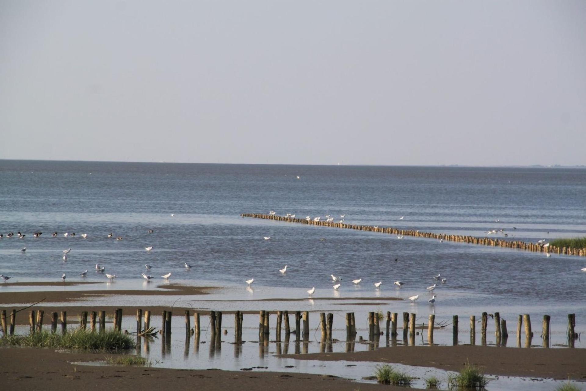 Ferienhof Schoof No2 Friedrichskoog Exteriör bild